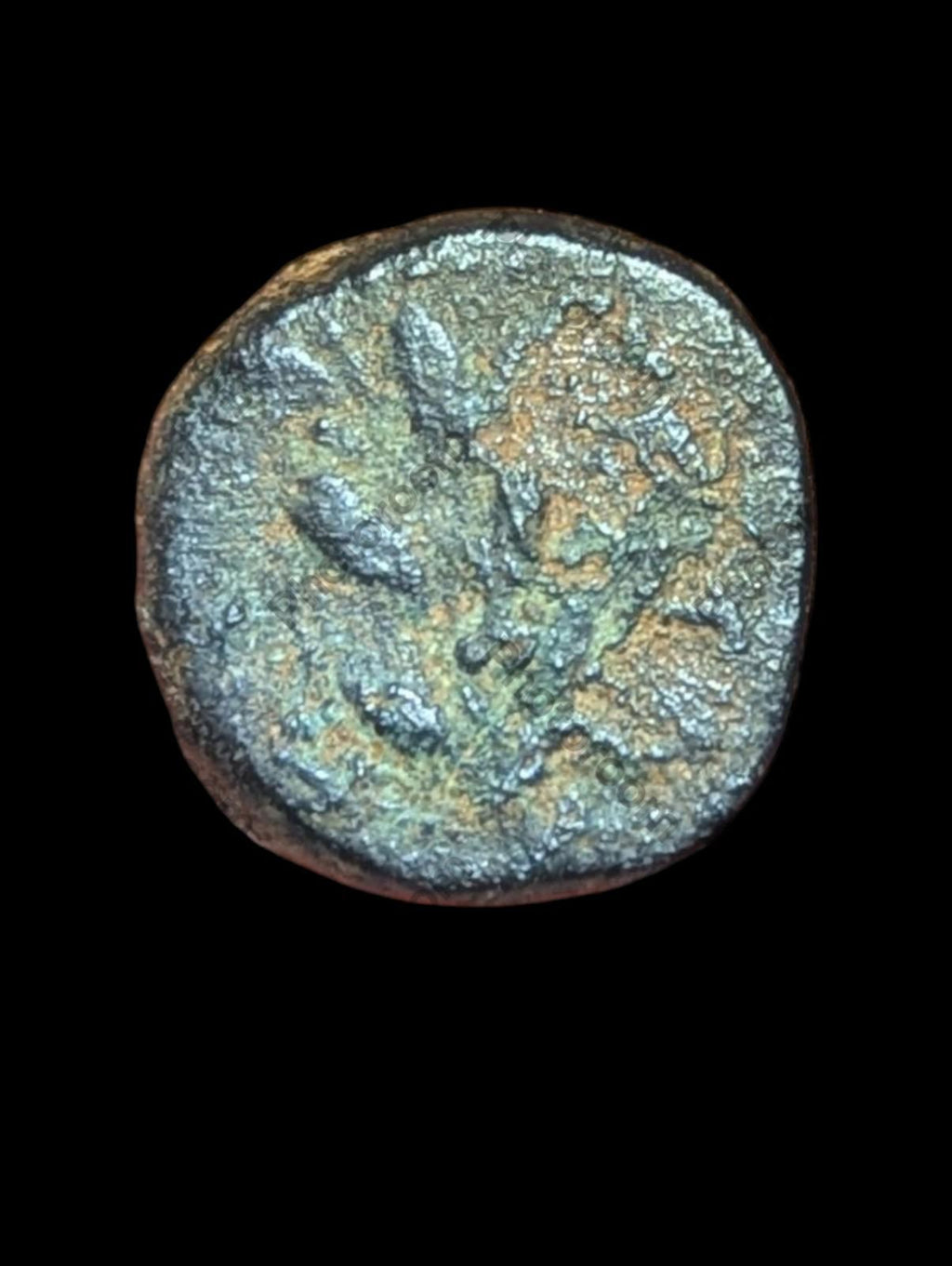 Séleucide de la Rome antique et PIERIA Pseudo-autonome de l'époque de NERVA Rare