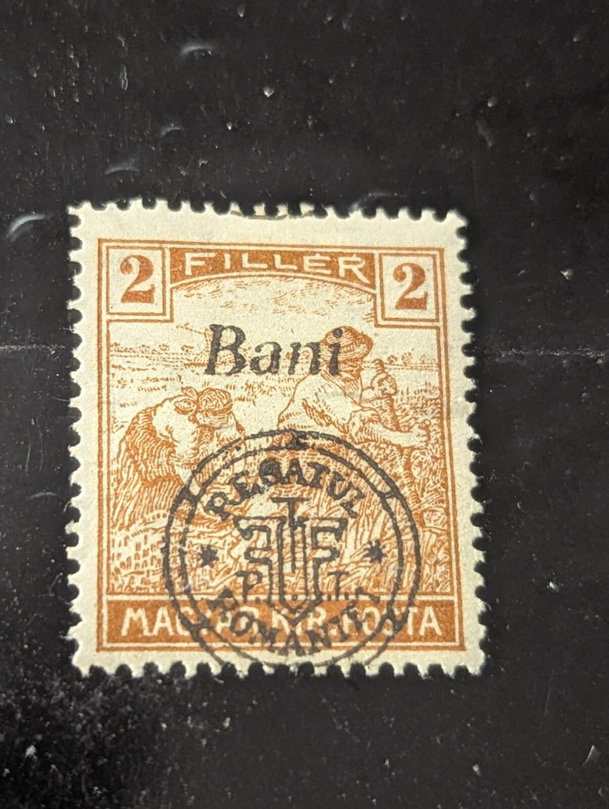 Romania Hungary 1919 CLUJ HARVESTER 2 GENUINE PLATE FLAW MNH
