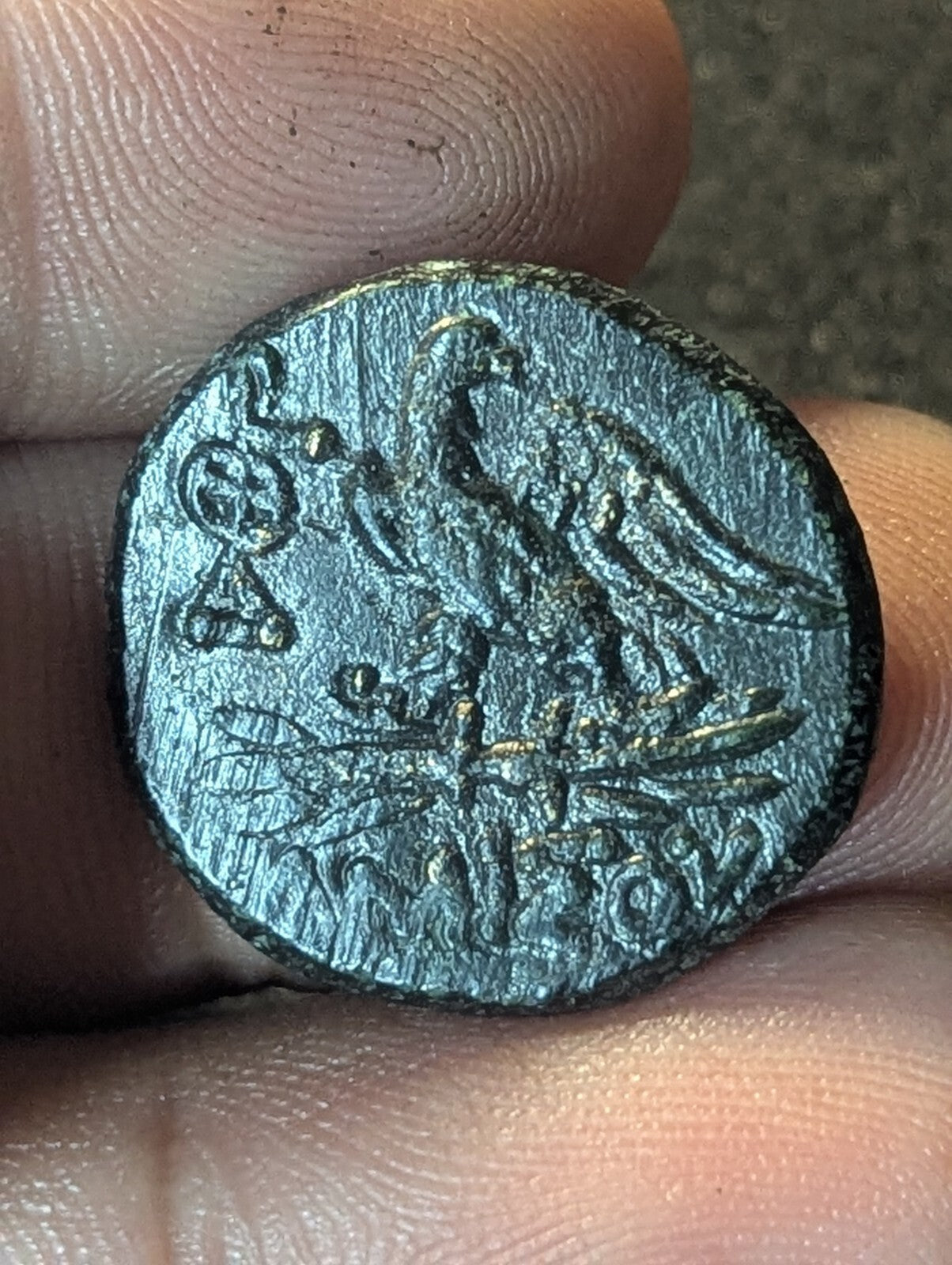 AMISOS en PONT MITHRIDATE VI le GRAND Monnaie Grecque Aigle de Zeus