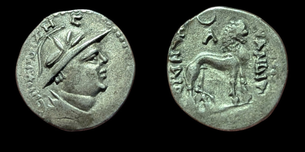 YUEZHI (YUEH-CHI): Sapadbizes, late 1st century BC. AR Drachm