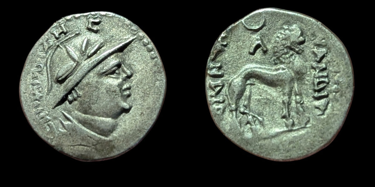 YUEZHI (YUEH-CHI): Sapadbizes, late 1st century BC. AR Drachm