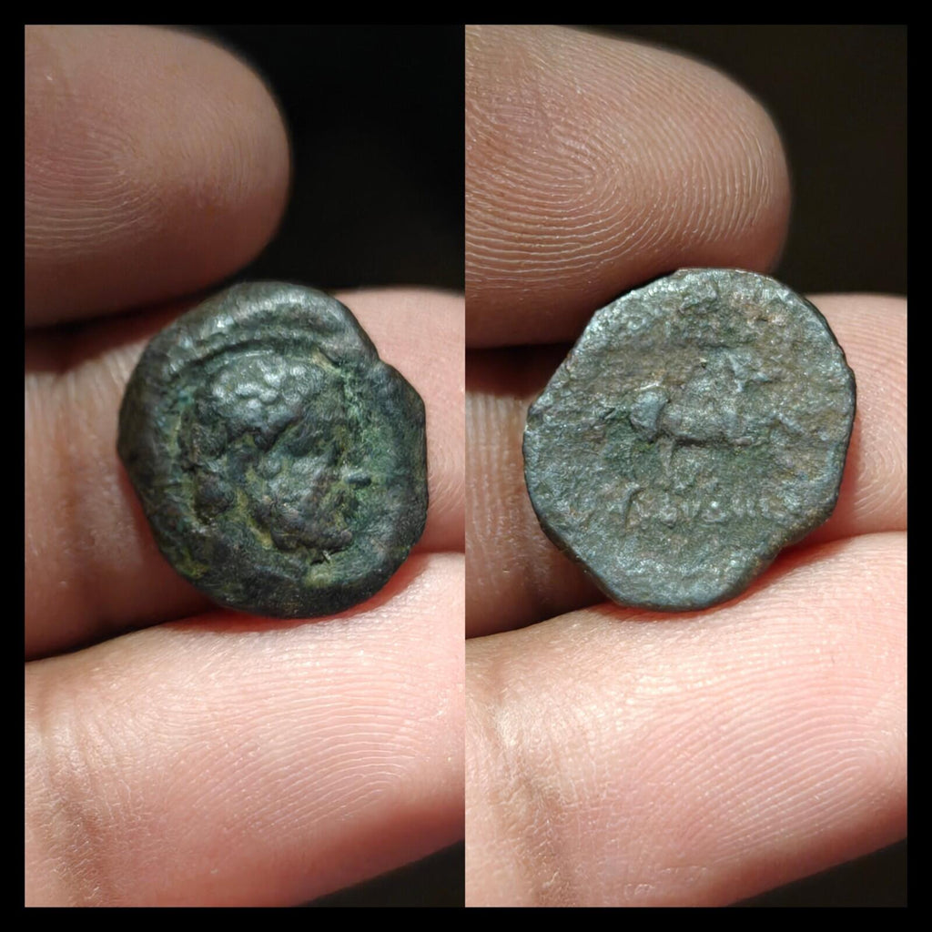 Indo-Grecs anciens, Roi de Bactriane Euthydème 230-190 av. J.-C. Cuivre 1/4 Chalkon 3g