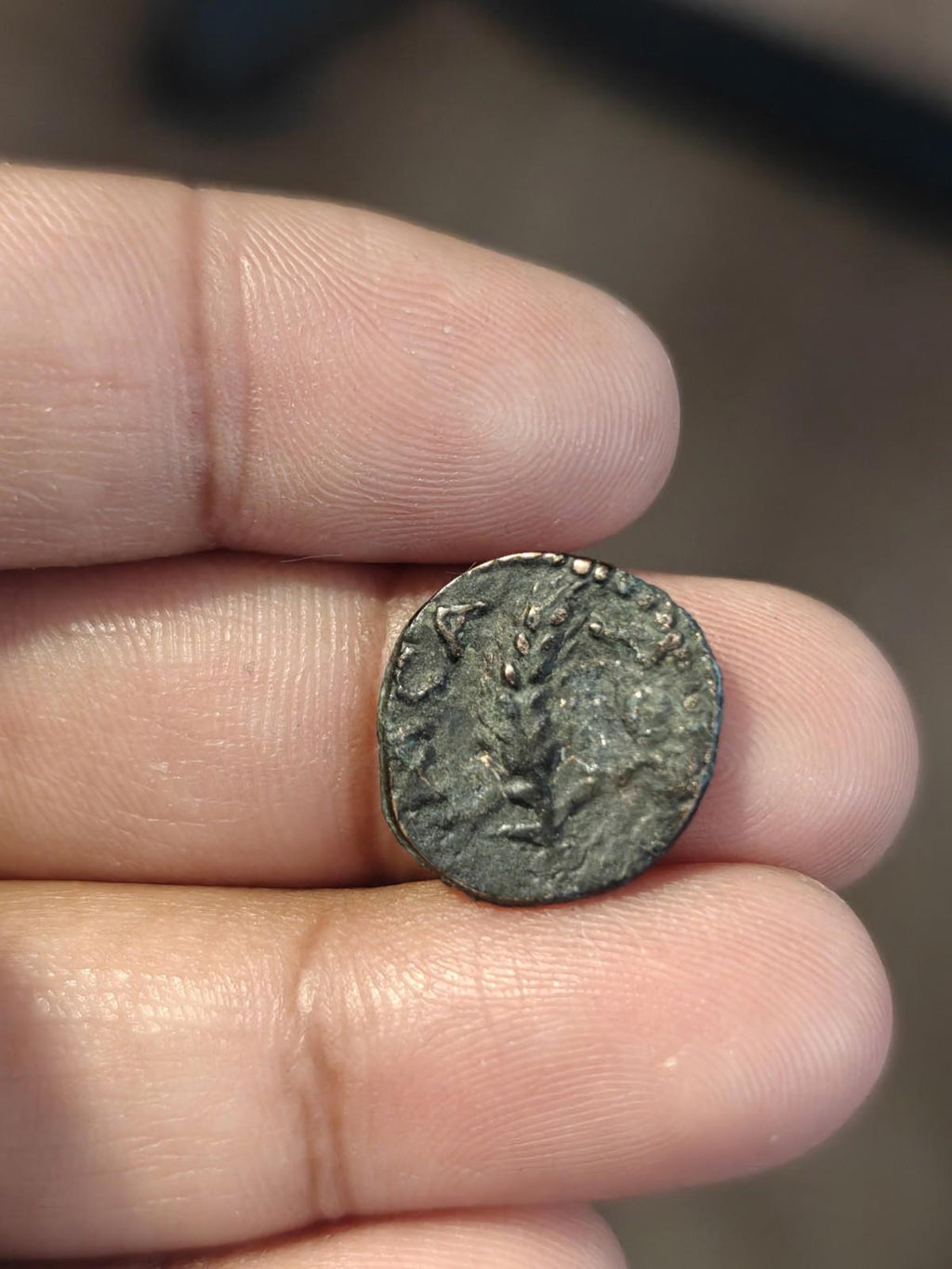 MARCUS AMBIBULUS Augustus Jerusalem Ancient 8-11AD BIBLICAL Roman Coin