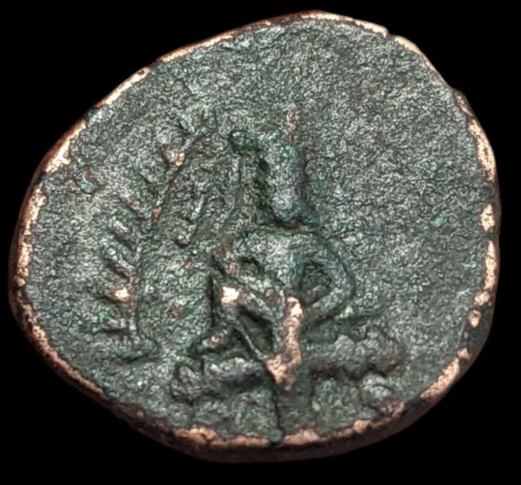 INDIA Ancient Kushan Chinese Jouan Jouan tribes coin imitation of huviska v rare