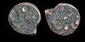 ISLAMIC AFGHAN CIVIC CUIVRE AE FALUS Balkh AH1295 Lion Britannique Rare