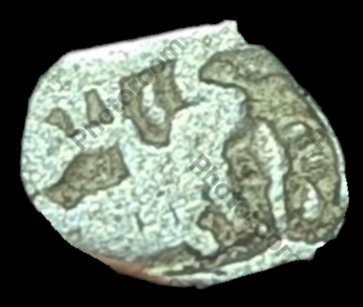 India Bengal INDUS Valley Mayuriyan Punch silver Coin 300 BC Dragon Symbol