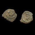 Judaea, Herod I the Great; 40-4 BCE, Prutah, 1.60g. Hendin-6219. Jerusalem Coin#