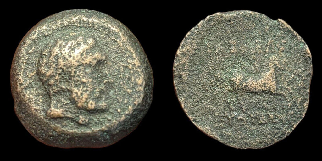 Bactria Euthydemos I, Bronze chalkous (unit), c. 230-220 BCE