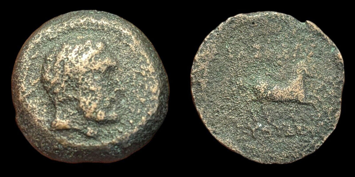 Bactria Euthydemos I, Bronze chalkous (unit), c. 230-220 BCE