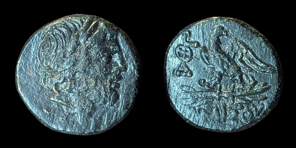 AMISOS en PONT MITHRIDATE VI le GRAND Monnaie Grecque Aigle de Zeus