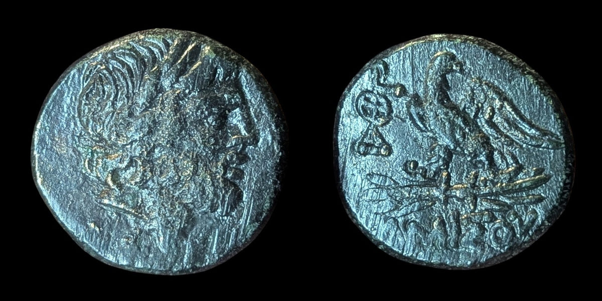 AMISOS en PONT MITHRIDATE VI le GRAND Monnaie Grecque Aigle de Zeus