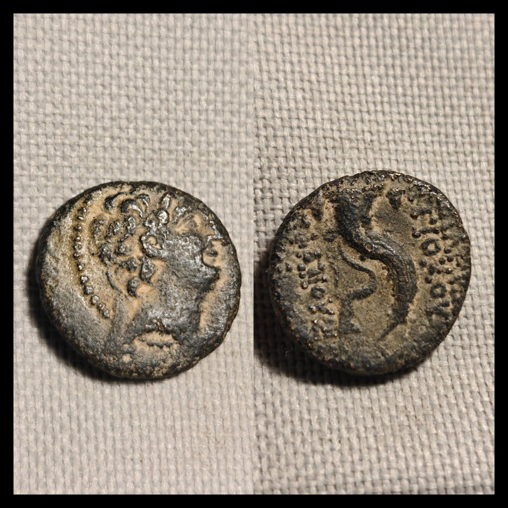 Antiochos VIII Grypos Seleukid Kingdom 121BC Ancient Greek Coin Hook & Nose