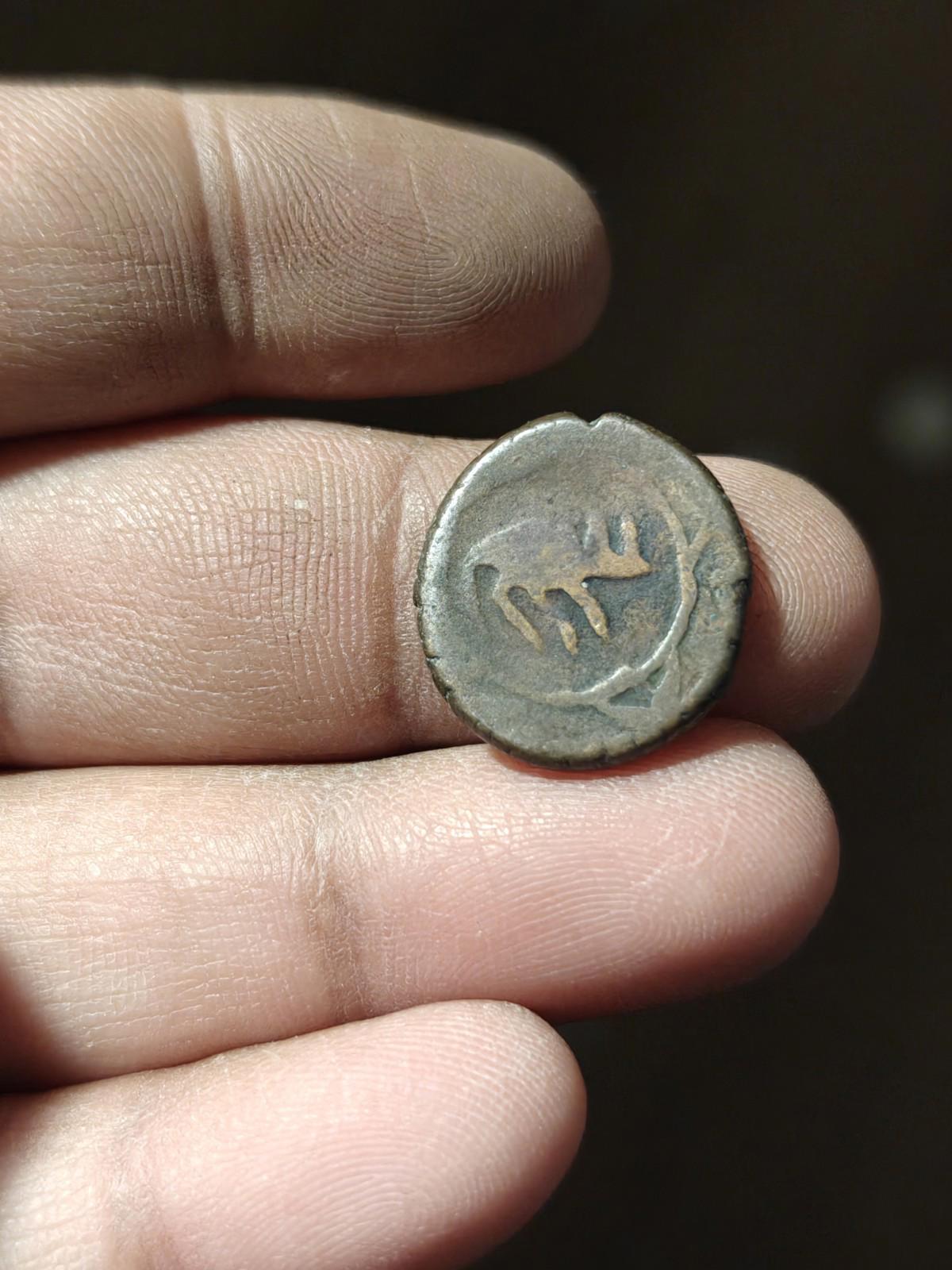ISLAMIC AFGHAN CIVIC COPPER AE FALUS  Herat Animal Type' Rat! Zeno#263418
