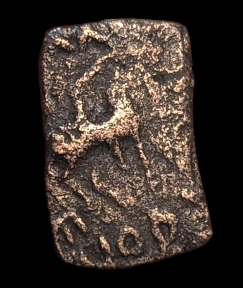 INDO-SCYTHES, Satrapes du Nord. Mujatria, vers 1-20 après J.-C. AE