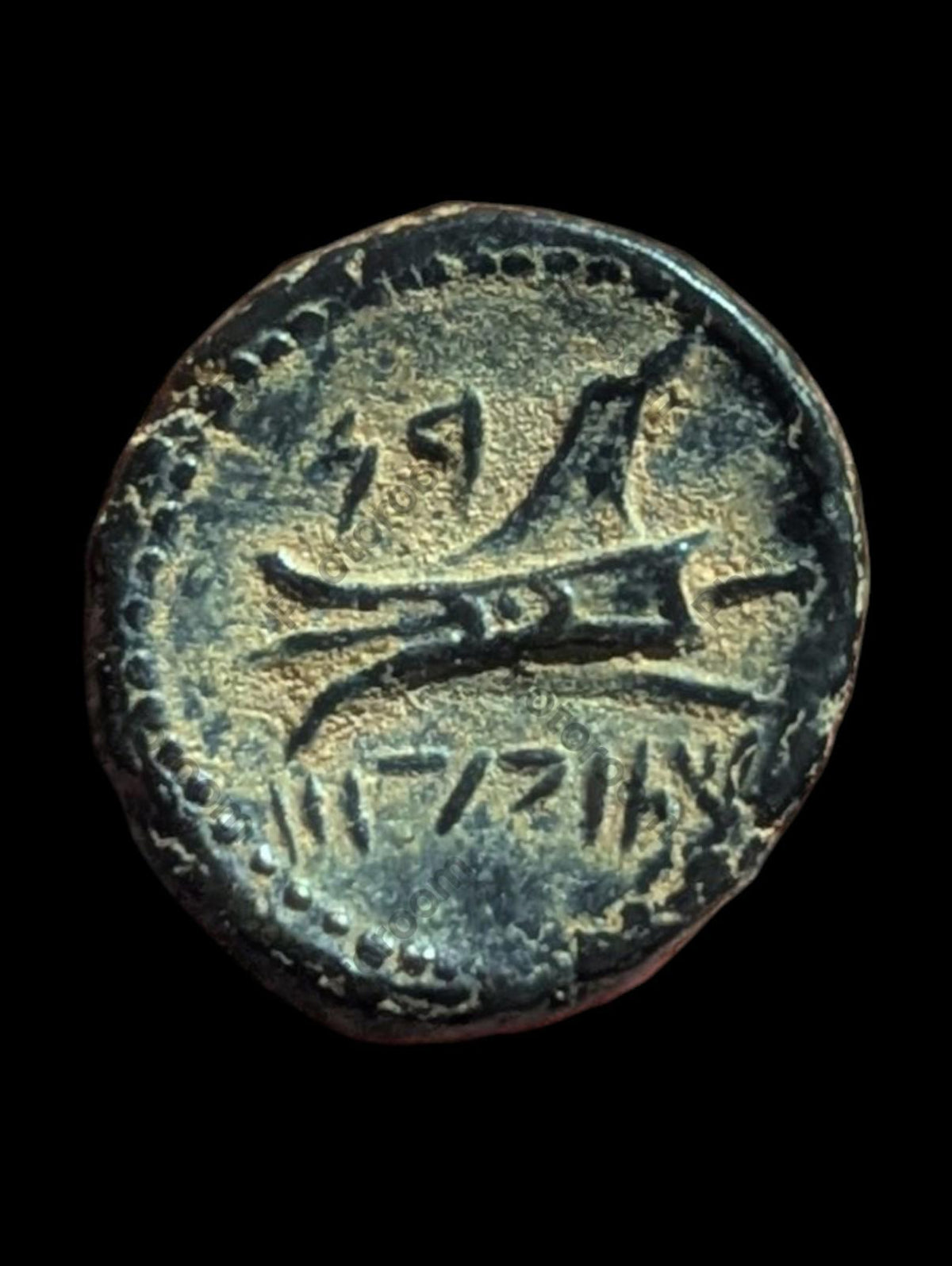 Ancient Greek Bronze Æ 137-51 BC Coin, Phoenicia, Arados Bronze, SNG-Cop:36 44#