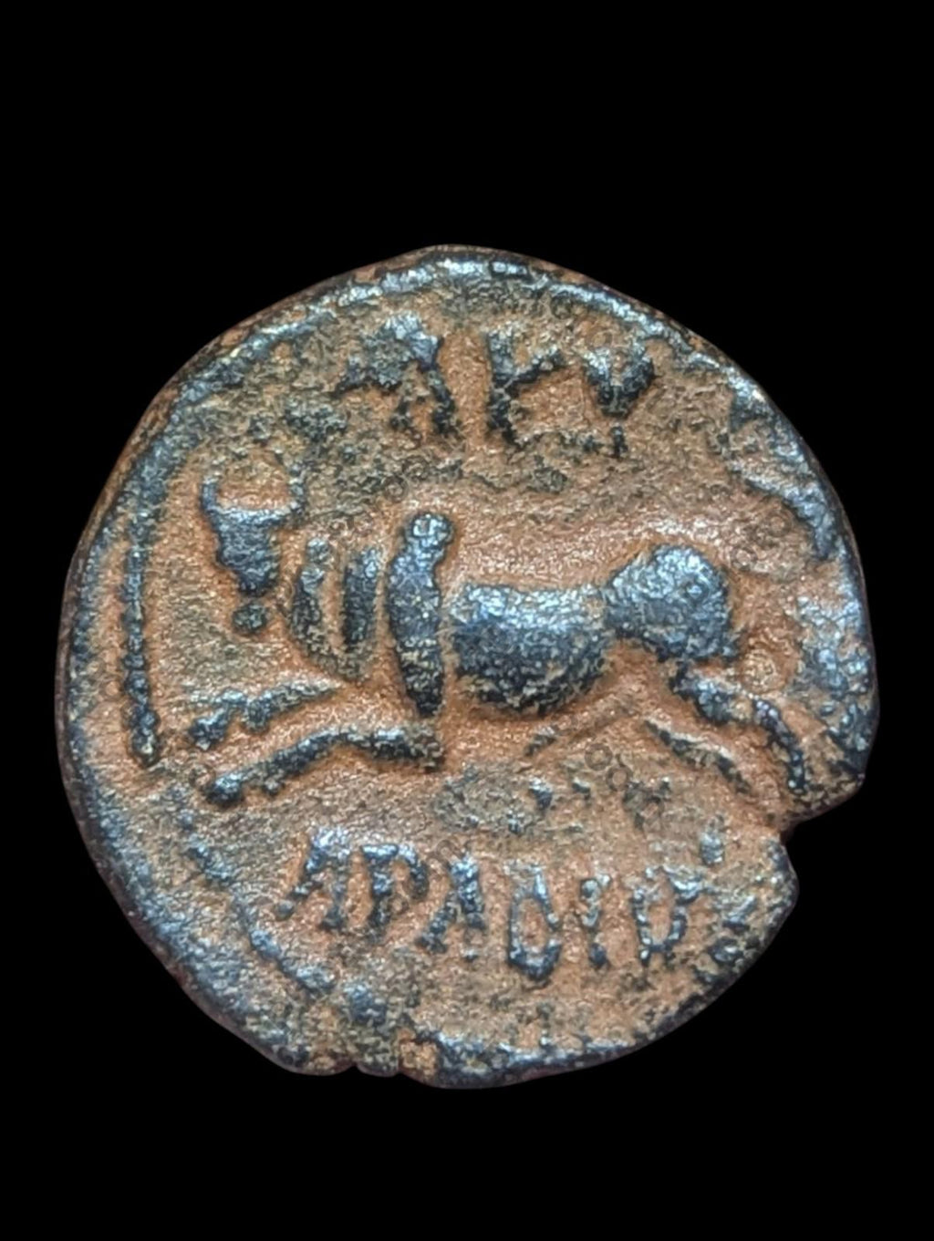 Roman Marcus Aurelius & Lucius Verus AE 23 Taureau bondissant Phénicie Arados Aradus R