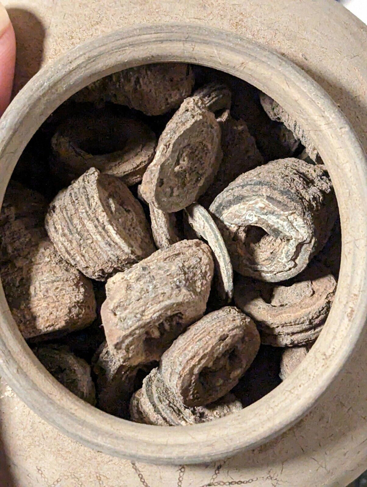 Chinese Pottery With Chinese Cash, Regime Unknown, Shipwreck From JAVA River