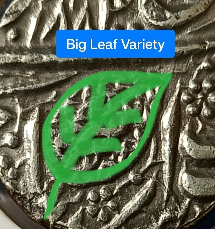 #UN3#Sikh Empire Real silver Rupee of Maharaja Ranjit Singh 1884/86 VS Top grade
