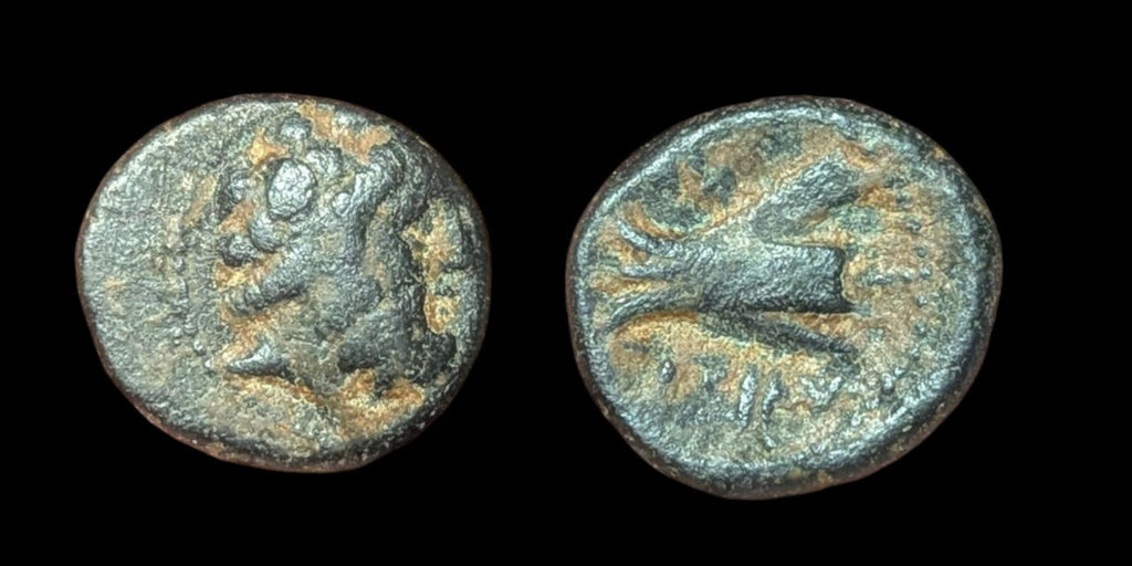 古希腊 青铜 Æ 公元前137-51年 硬币，腓尼基 阿拉多斯 青铜 SNG-Cop:36 44!