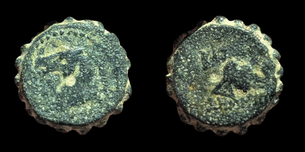 古希腊青铜币 安条克 162-150 BC #- 德米特里乌斯一世·索特 大象 马