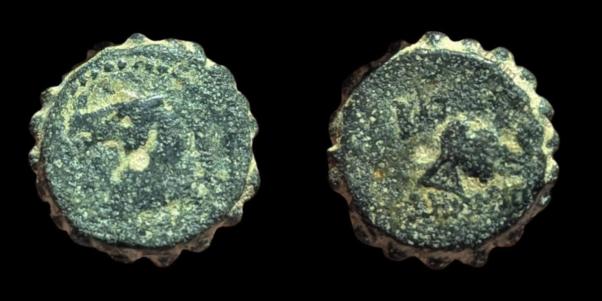 古希腊青铜币 安条克 162-150 BC #- 德米特里乌斯一世·索特 大象 马