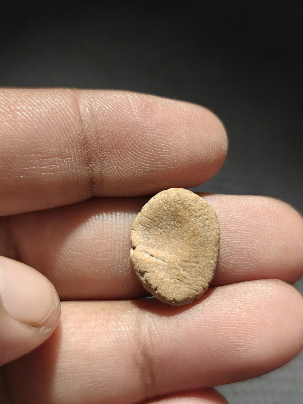 Ancient Greek Roman Circa 1st-3rd centuries AD Terracotta Clay Bullae Tessera