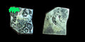 Inde ⭐ Vallée de l'Indus, pièce en argent Mayuriyan Punch ⭐ 300 av. J.-C. 🦁 Lion