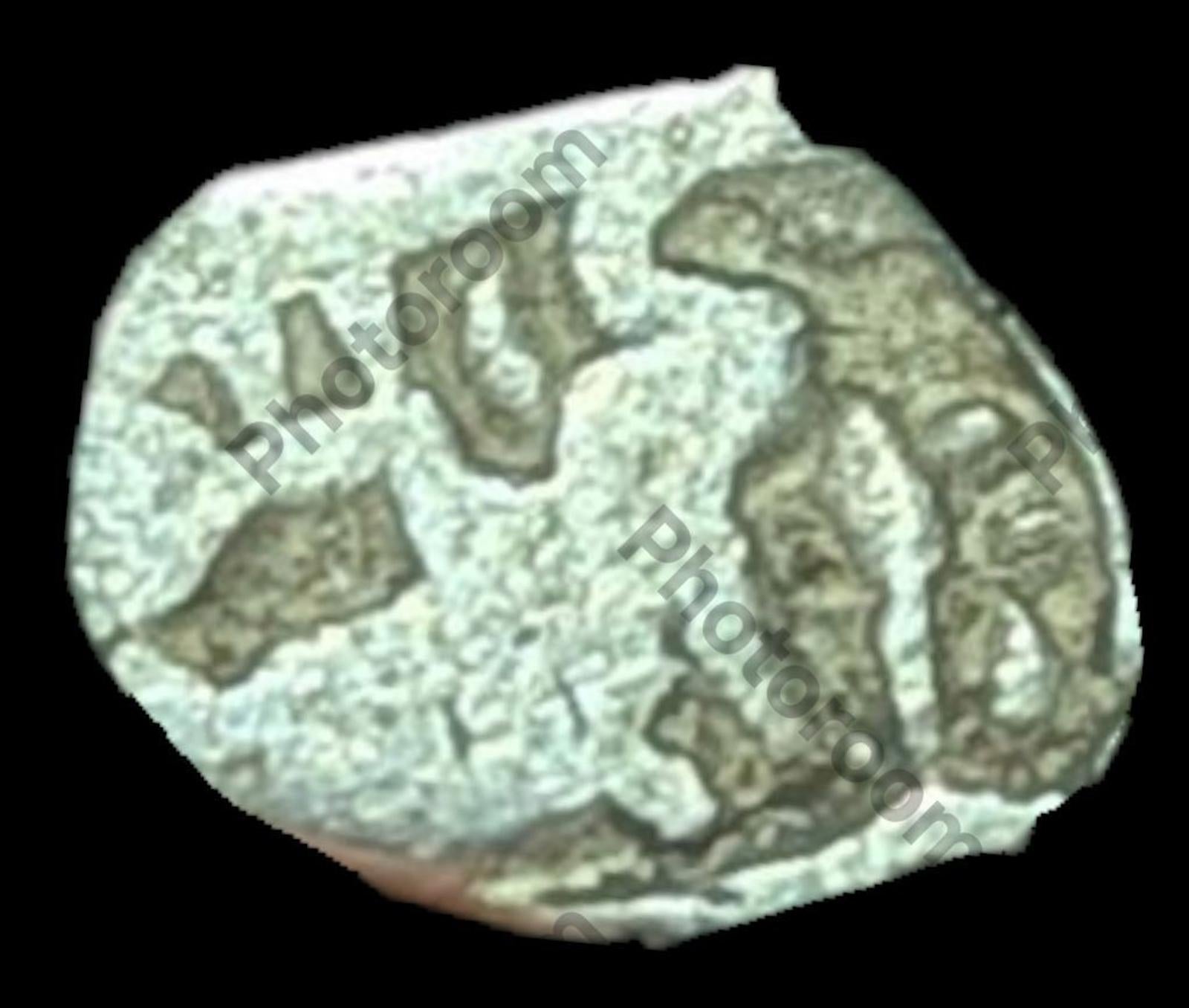 India Bengal INDUS Valley Mayuriyan Punch silver Coin 300 BC Dragon Symbol