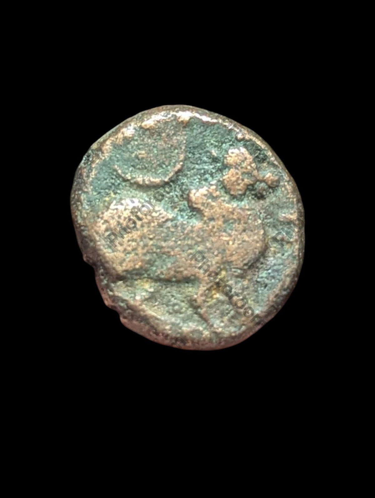 India IPS Tinnevelly Kasu Perunjinga Pallavas Sendamangalam 1228-1278+