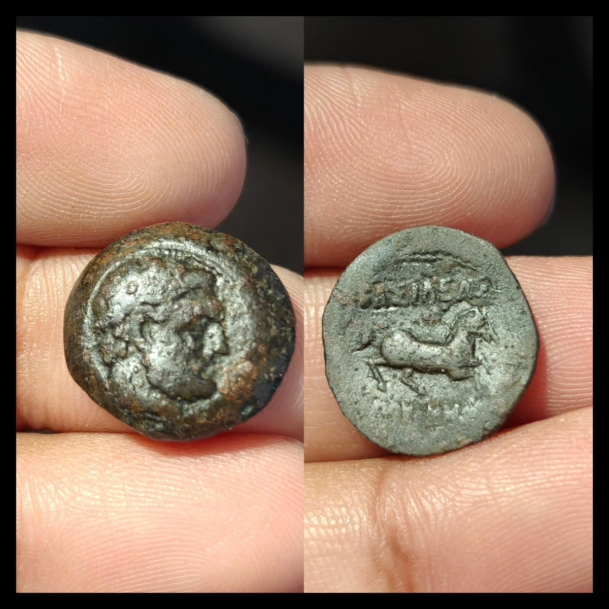 Indo-Grecs anciens, Roi de Bactriane Euthydème 230-190 av. J.-C. Demi-chalque en cuivre