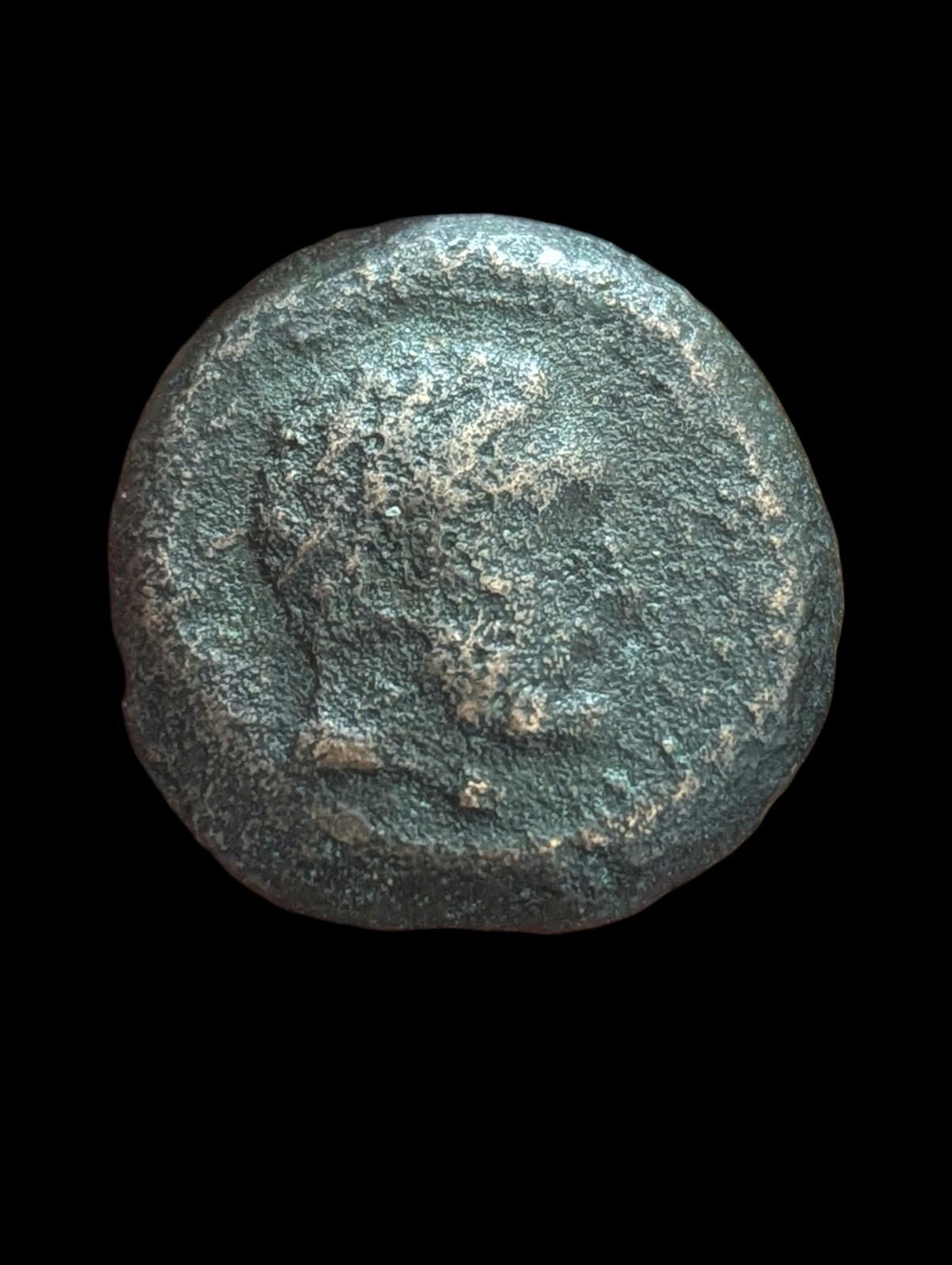 Ancien : Indo-Grecs, Roi de Bactriane, Euthydème env. 230-190 av. J.-C. Chalkon en cuivre