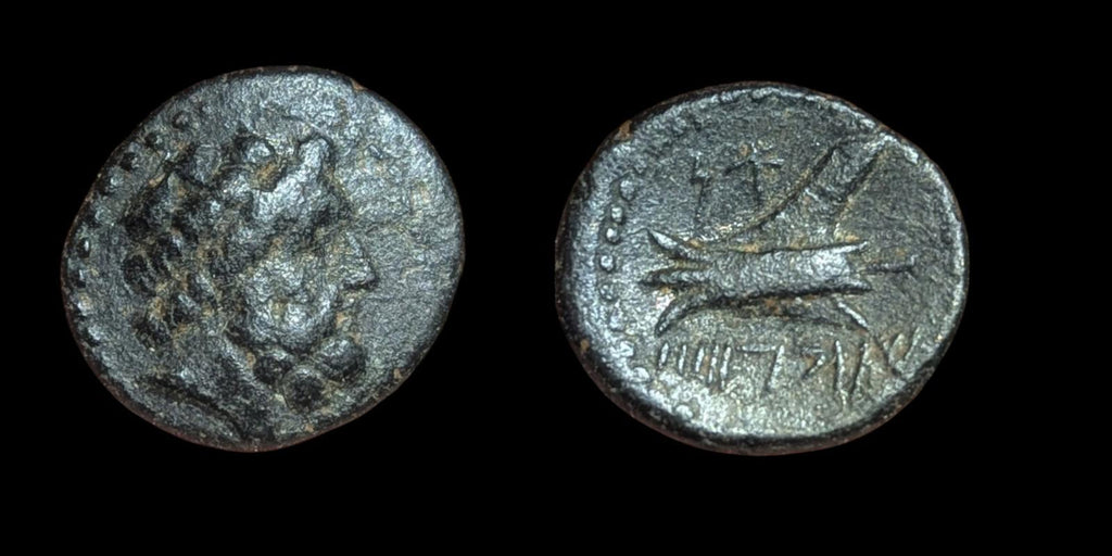 古希腊青铜币 Æ，公元前 137-51 年，腓尼基，阿拉多斯青铜币 SNG-Cop:36 44！