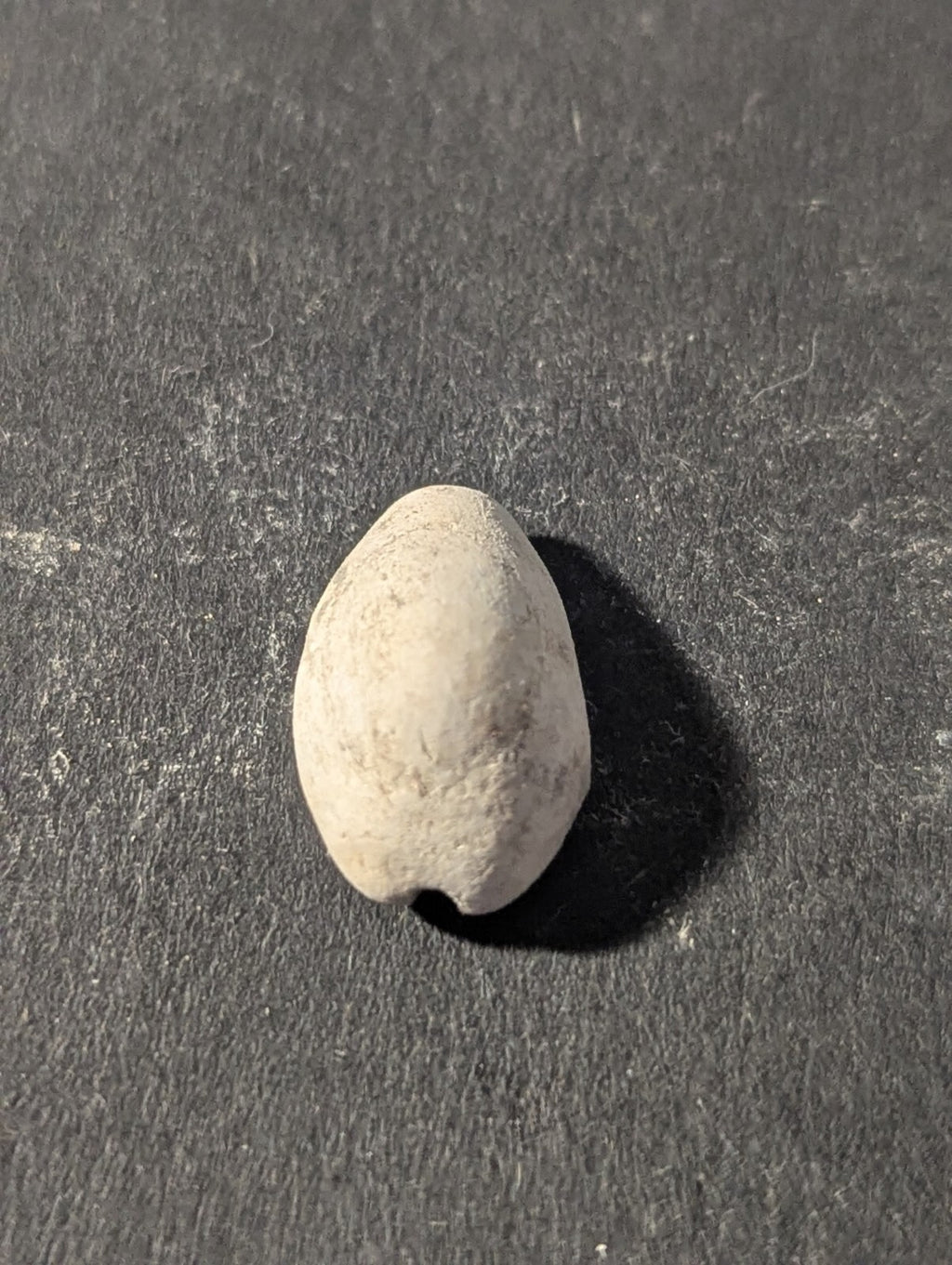 First Primitive Money Cowry Shell Shang dynasty (c.1766-1154 BC) the Zhou period