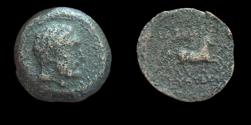 Ancien : Indo-Grecs, Roi de Bactriane, Euthydème env. 230-190 av. J.-C. Chalkon en cuivre