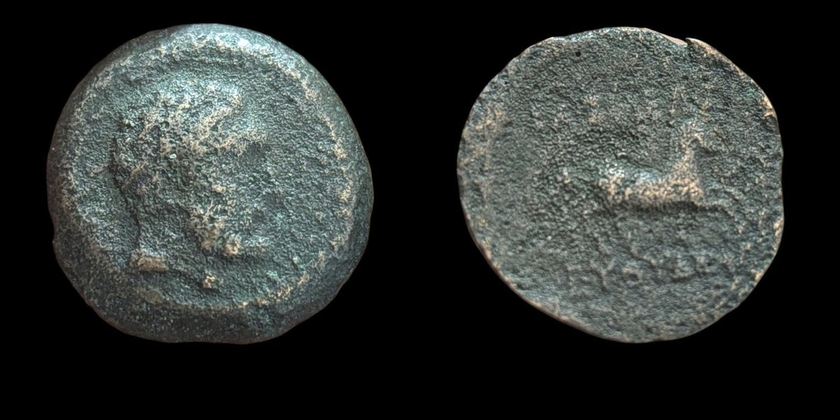 Ancien : Indo-Grecs, Roi de Bactriane, Euthydème env. 230-190 av. J.-C. Chalkon en cuivre