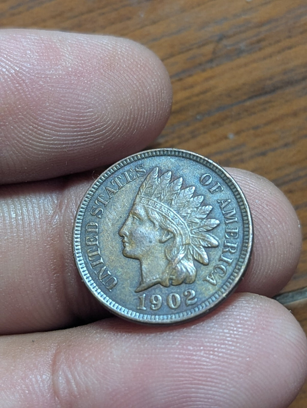 1902 Indian Head One Cent, Penny 1c ~ Choice Uncirculated Tone Brown