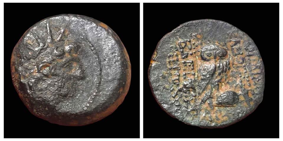 Ancient Greece Cleopatra Thea Antiochos VIII Seleukid Kingdom Genuine Owl Coin