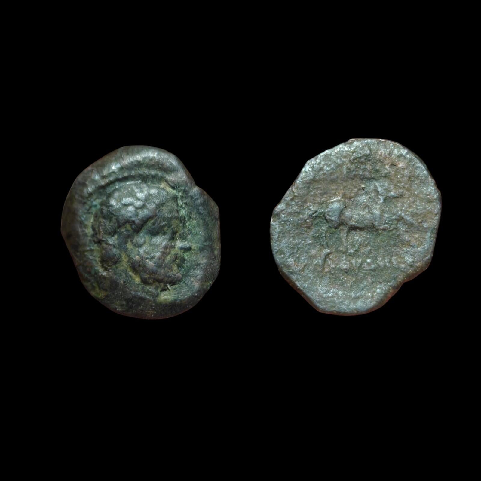 Indo-Grecs anciens, Roi de Bactriane Euthydème 230-190 av. J.-C. Cuivre 1/4 Chalkon 3g