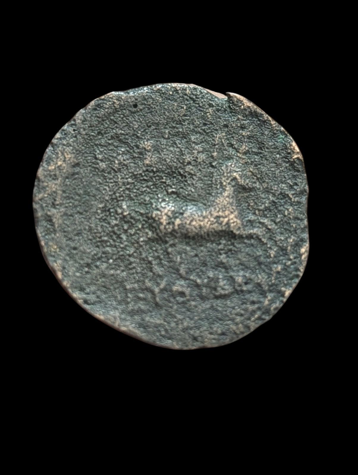 Ancien : Indo-Grecs, Roi de Bactriane, Euthydème env. 230-190 av. J.-C. Chalkon en cuivre
