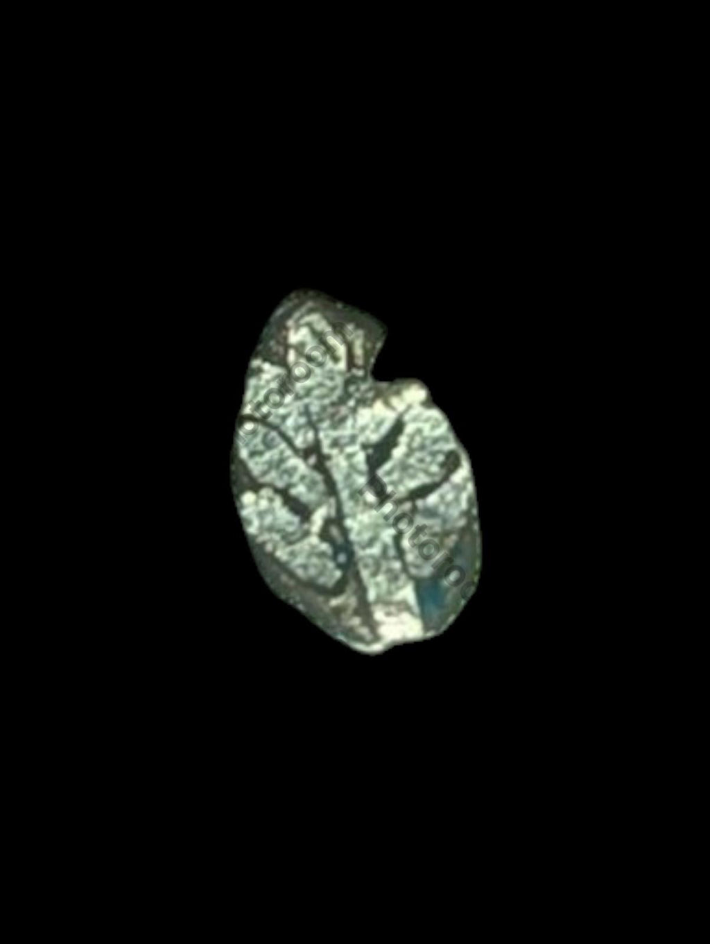 India Bengal INDUS Valley Mayuriyan Punch silver Coin 300 BC PLANT Symbol ☘️