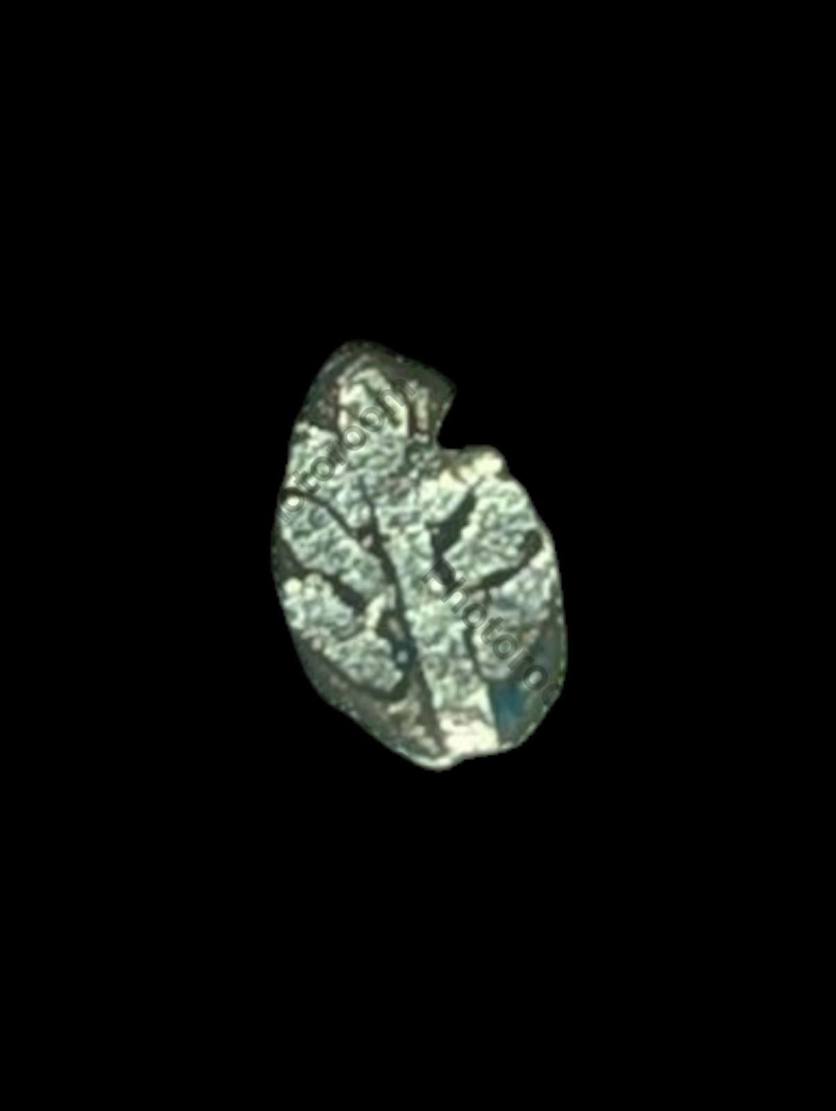 India Bengal INDUS Valley Mayuriyan Punch silver Coin 300 BC PLANT Symbol ☘️