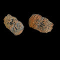 Islamic ARAB Byzantine Period UMAYYAD Æ Fals,  Three Standing Caliphate 685-690!