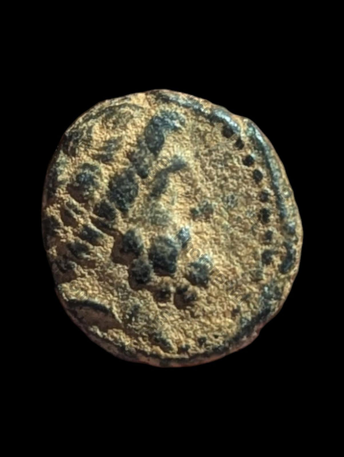Monnaie grecque antique en bronze (Æ), 137-51 av. J.-C., Phénicie, Arados, Bronze, SNG-Cop:36-44#