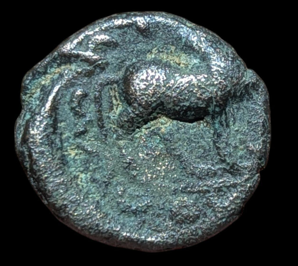 Inde Empire kouchan Vima Kadphisès Æ Chameau Vers 100-127 après J.-C. Chameau/taureau