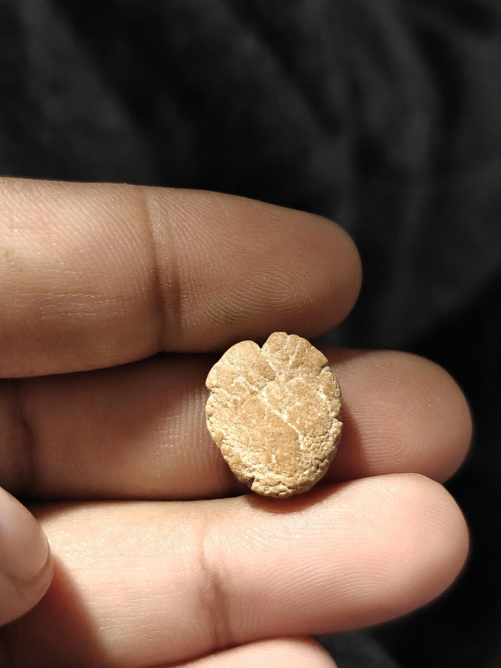 Ancient Greek Roman Circa 1st-3rd centuries AD. Terracotta Clay Bullae Tessera