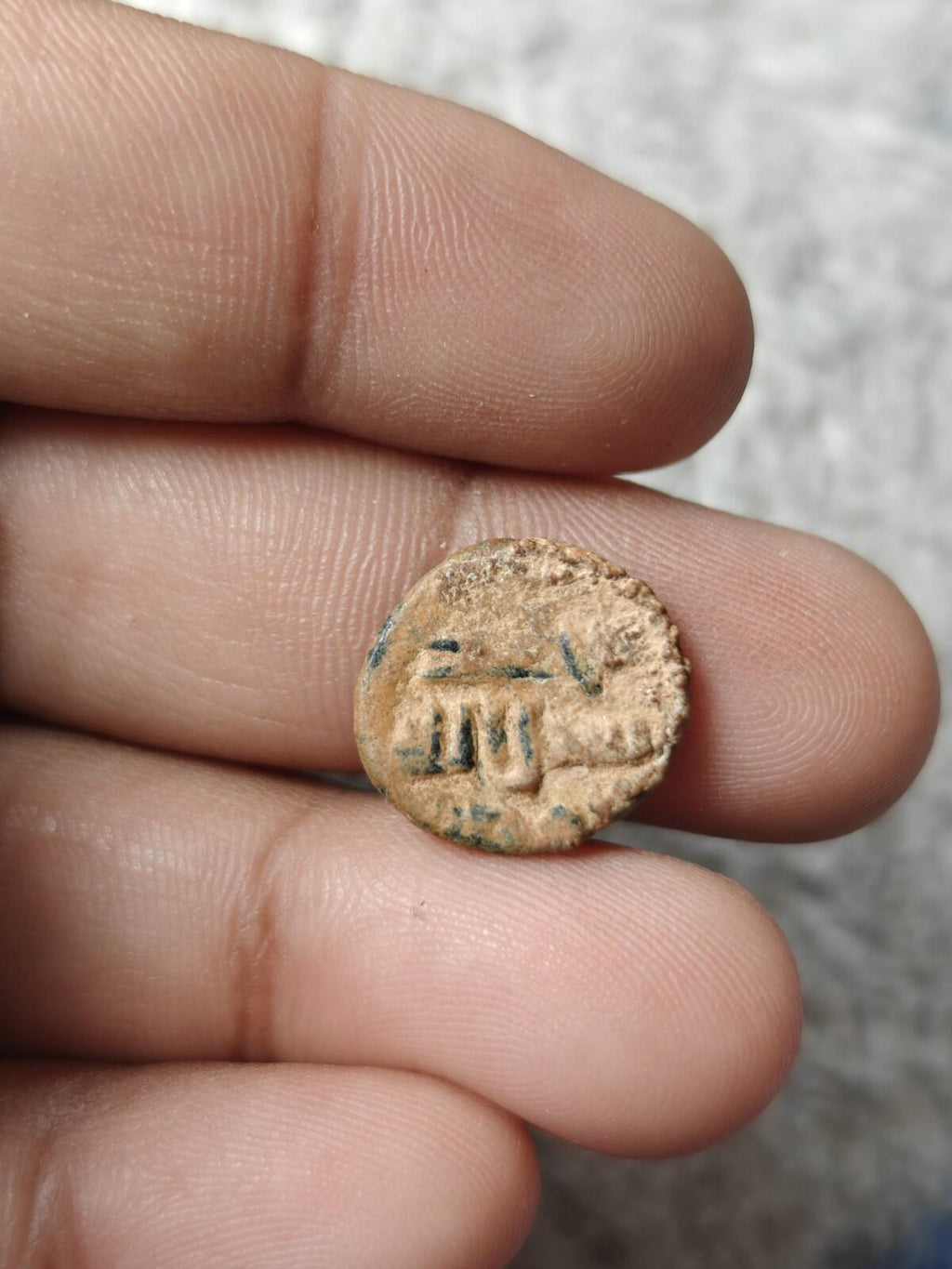 Islamic Umayyad Fals Elephant Type Walker 795 Album 177 Genuine Wow Grade