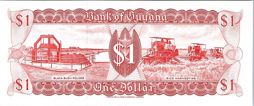 1989 Bank of Guyana One 1 Dollar circulated Banknote Better Grade