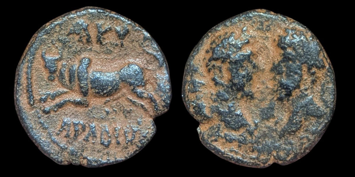 Roman Marcus Aurelius & Lucius Verus AE 23 Taureau bondissant Phénicie Arados Aradus R