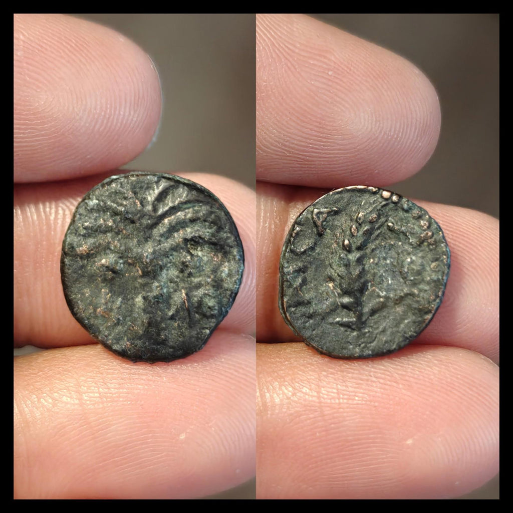 MARCUS AMBIBULUS Augustus Jerusalem Ancient 8-11AD BIBLICAL Roman Coin