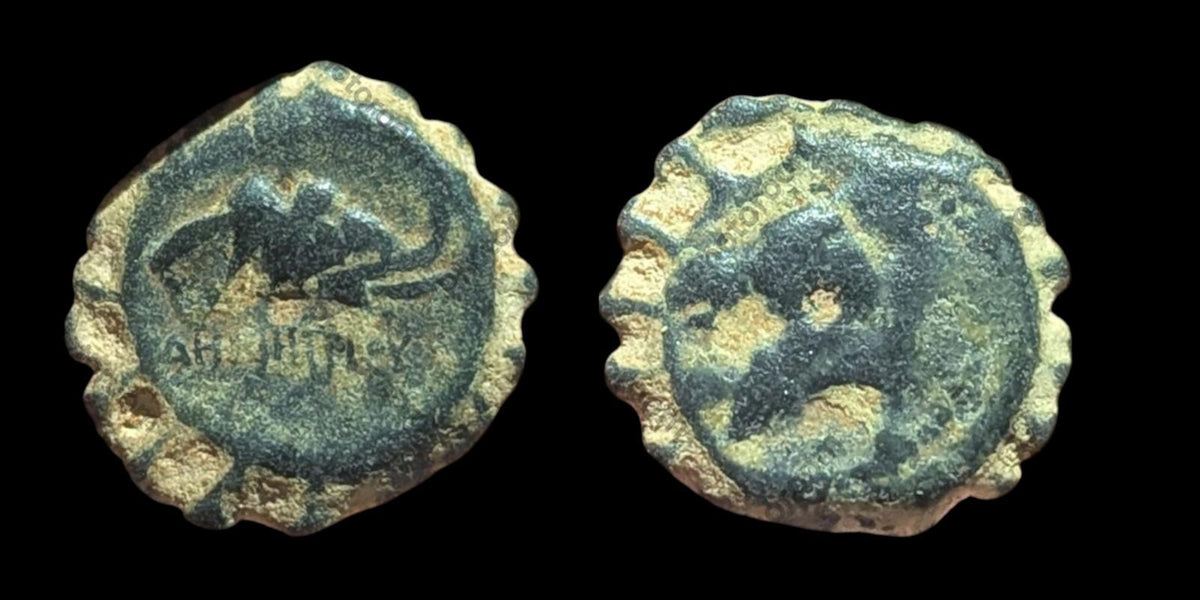 古希腊青铜币 安条克 公元前162-150年——德米特里一世 索特 大象 骏马